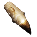Alpha Mosasaur Tooth from Ark: Survival Evolved